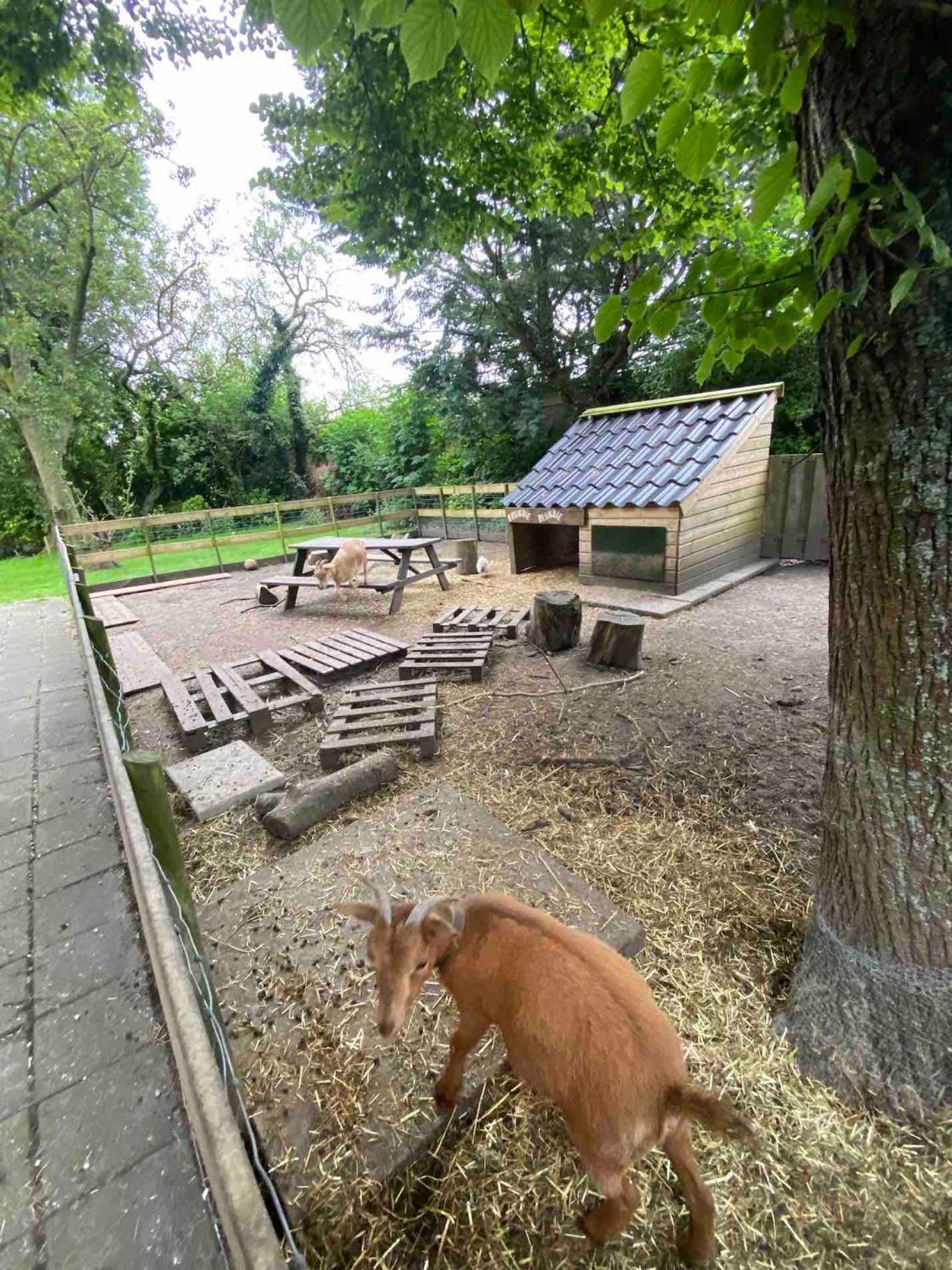 La Luna - Gino Heerhugowaard Exterior foto